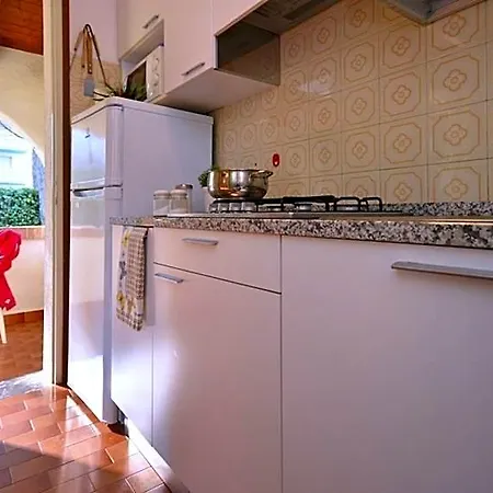 Rustic Elegant In Surroundings